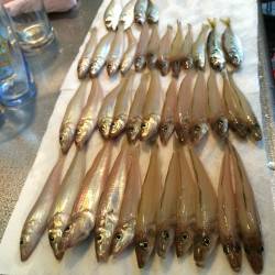 天ぷらを捕獲に