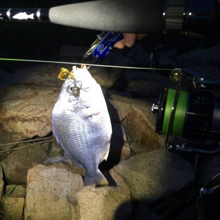 連日チニング✨