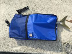 まだ、ブリ様いました。