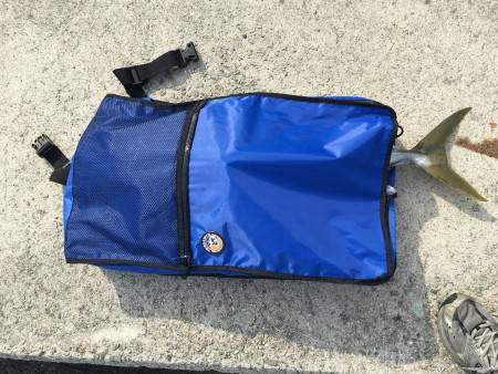 まだ、ブリ様いました。