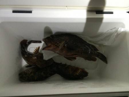 ティップが、、、、