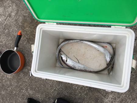 太刀魚ワインド