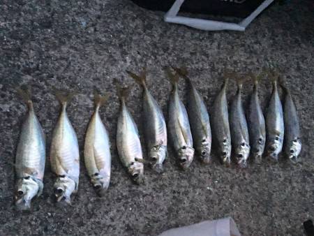 ガルプアジング