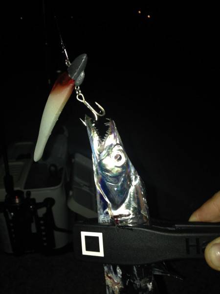 雨のち、たまにゲリラ豪雨 時に爆釣