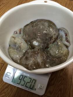 キロ超えならず!!