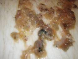 霧の中のアジング＆メバリング