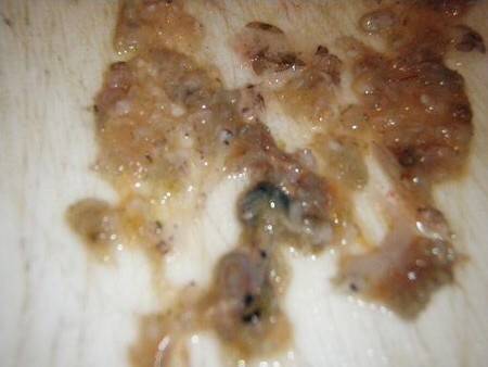 霧の中のアジング＆メバリング