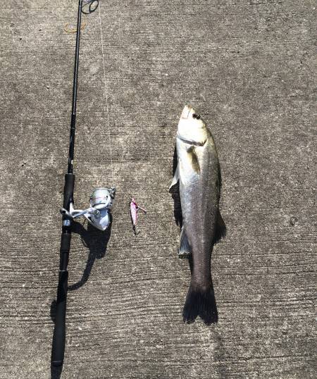 春太刀指4本半‼︎