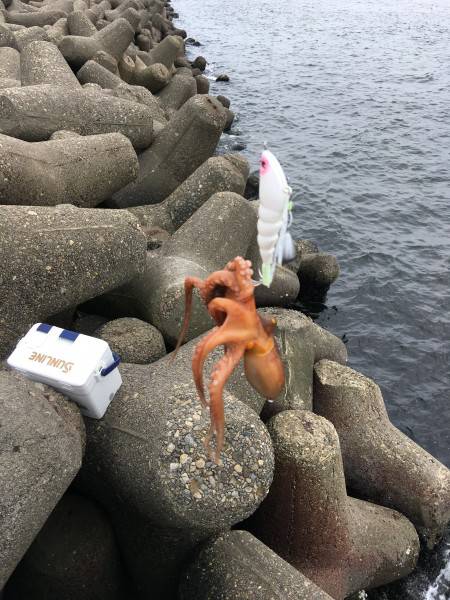 オクトパッシング