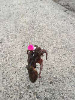 まっすぐ投げましょう