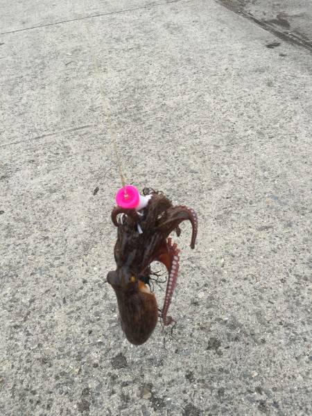 まっすぐ投げましょう