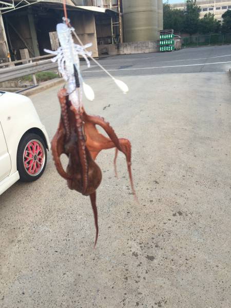 オクトパッシング2