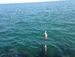 ライトショアジギング