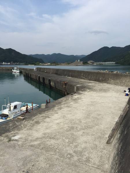 通しの投げ釣り