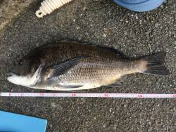 北公園にて釣行