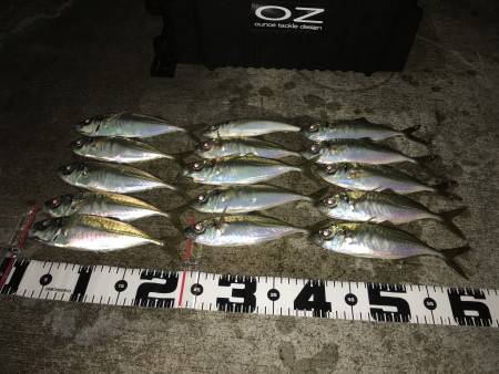 フロートアジング