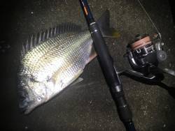 チニングデビューの巻。