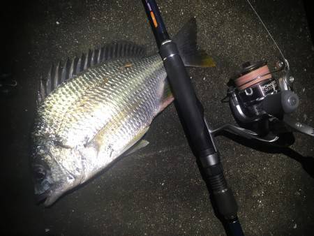 チニングデビューの巻。