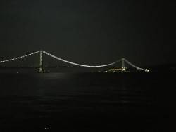 サバ不発で太刀魚