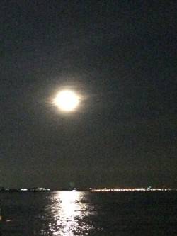 ドラゴーン•••多分