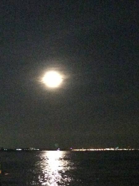 ドラゴーン•••多分