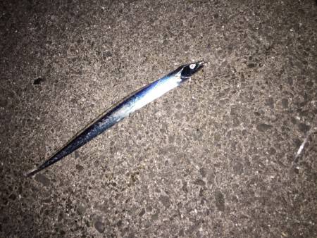 犯人はお前かー！！