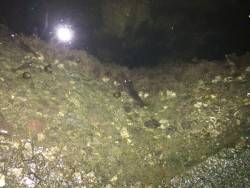 newタックル入魂のはずが…