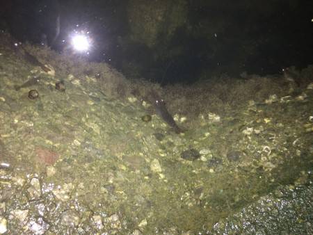 newタックル入魂のはずが…