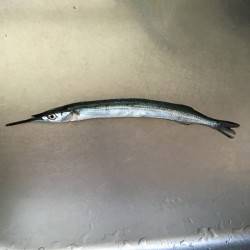 なかなかの外道です。