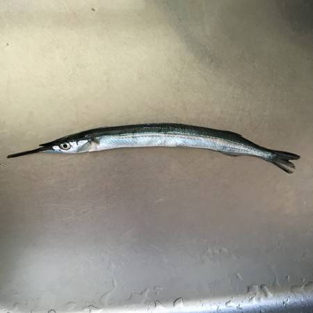 なかなかの外道です。