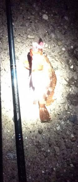 昼間は暑いので