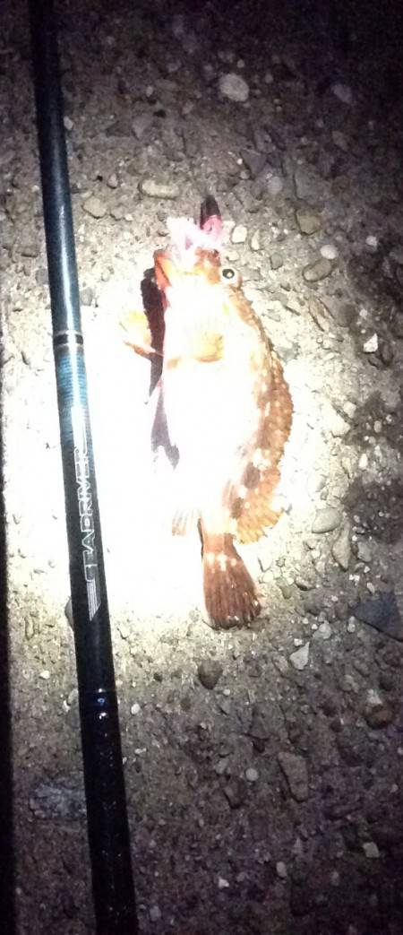 昼間は暑いので