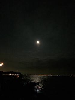 兵突20匹オーバー