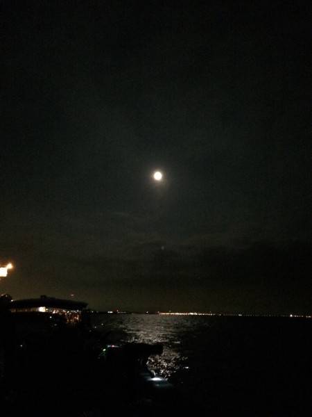 兵突20匹オーバー