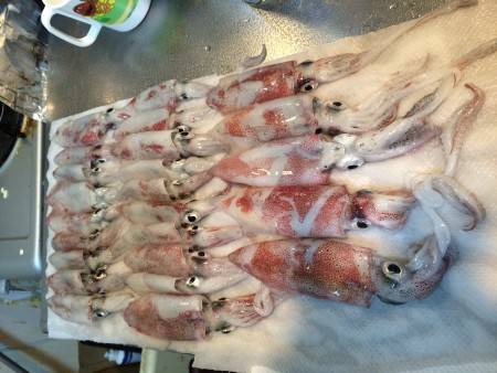 苦手分野の修行