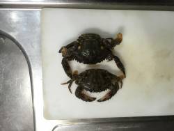 ポーアイ北公園にて釣行