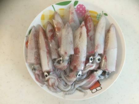 初ケンサキイカ