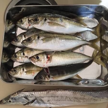 アジーっ!やっと見つけたぞ〜‼︎