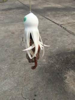 風がつよかった