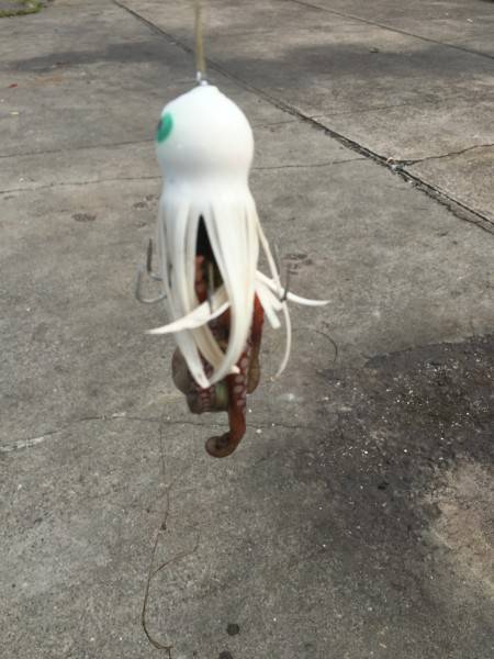 風がつよかった