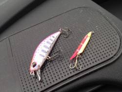 セイゴリベンジ成功！