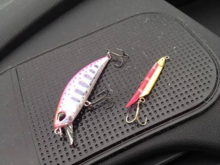 セイゴリベンジ成功！