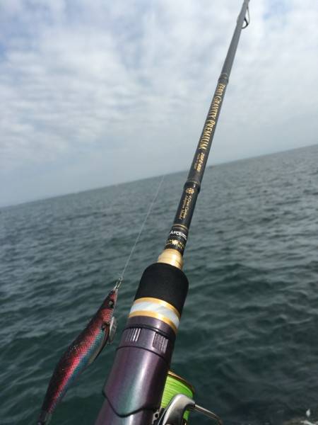 良型アジさんを求めて