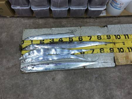 ドラゴンキター(((o(*ﾟ▽ﾟ*)o)))