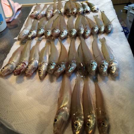 今日もホゲ回避´д` ;