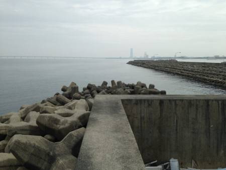 ライトショアジギング