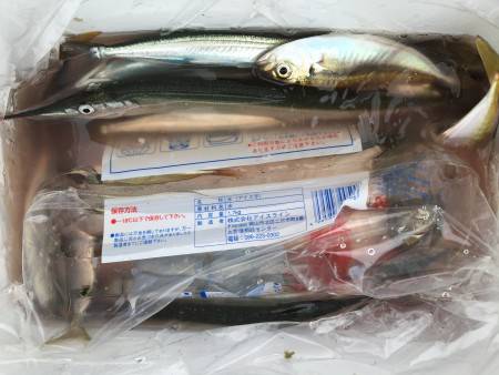 サヨリ×20アジ×20サバ×1