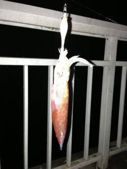 アメニモマケズ