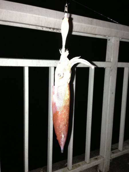 アメニモマケズ