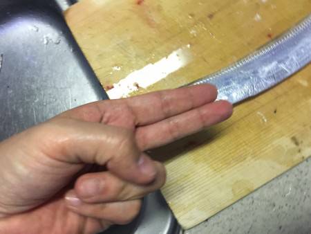 先週よりサイズダウン